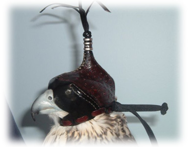 Falconry Hood Anglo Indian Jet Black Color All Sizes Available New 