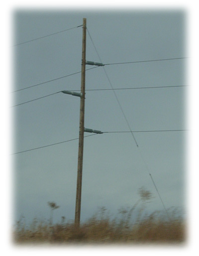 Power line image