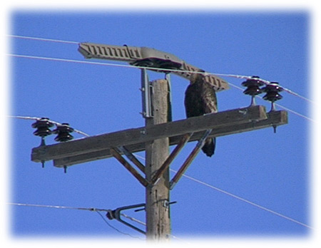 Power line image