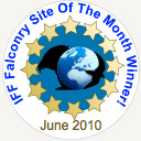 IFF Falconry Site of the Month - June 2010