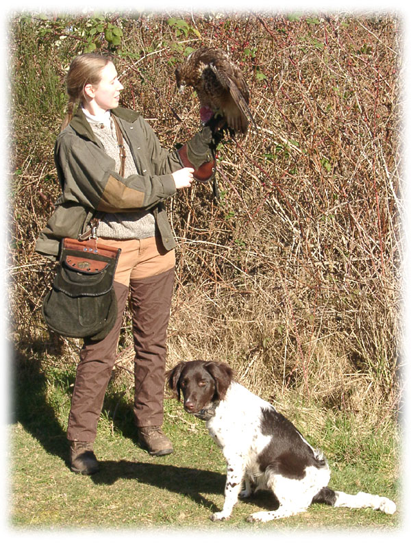 Falconry image