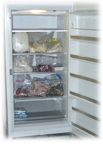 Freezer image