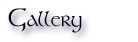 Gallery link