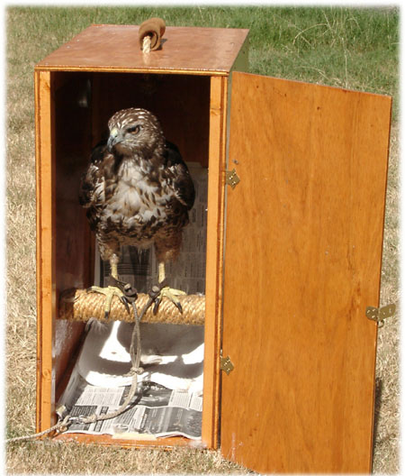 Hawk Box image