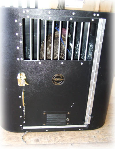 Hawk Box image