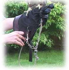 Falconry leash clearance